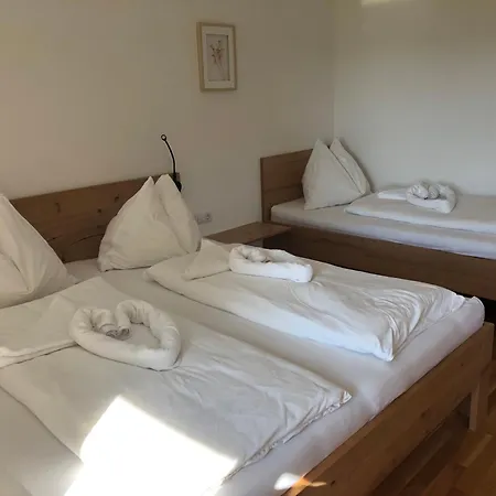 Biohof-Feichtinger Apartment Zell am Moos Room photo