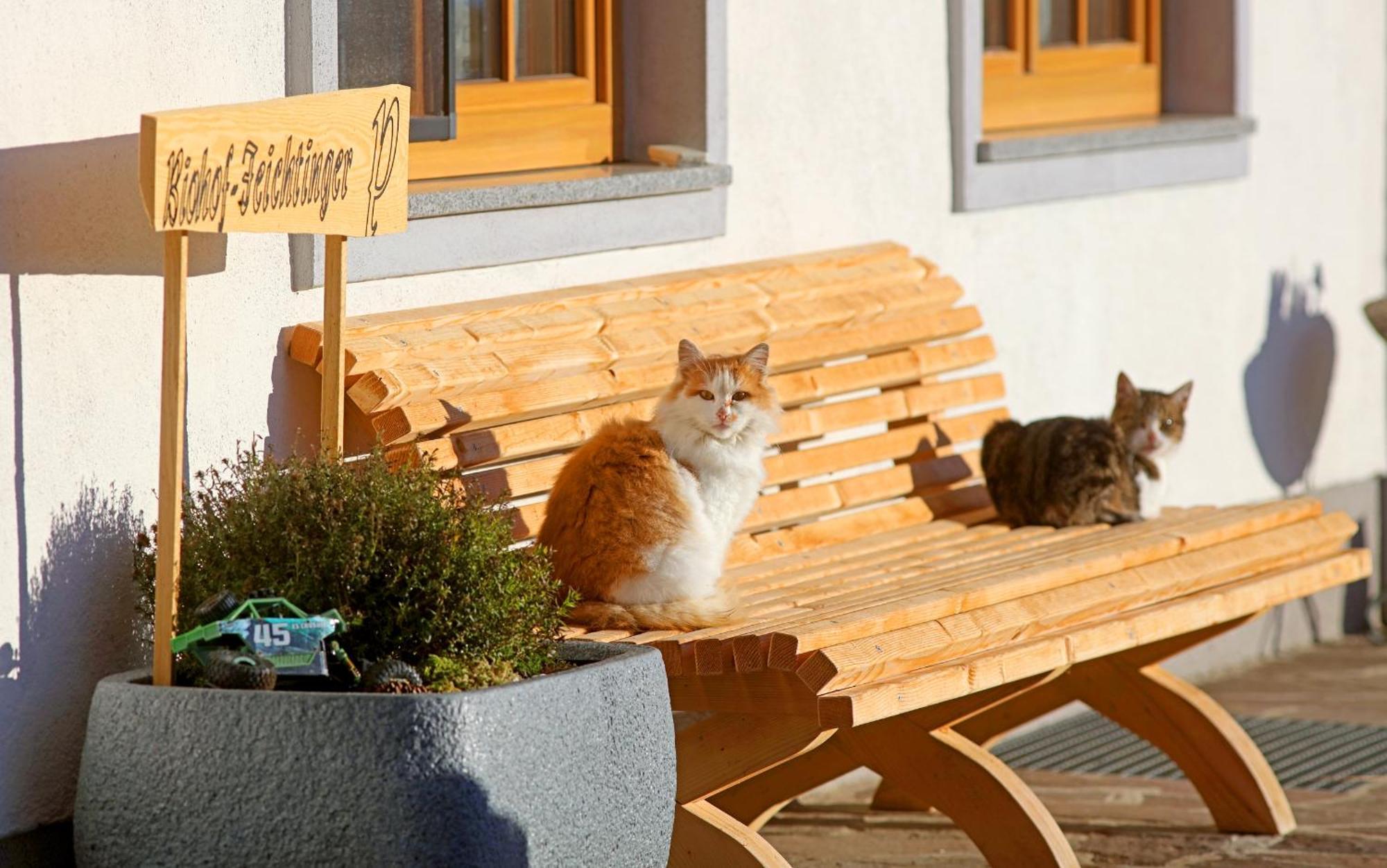 Biohof-feichtinger *