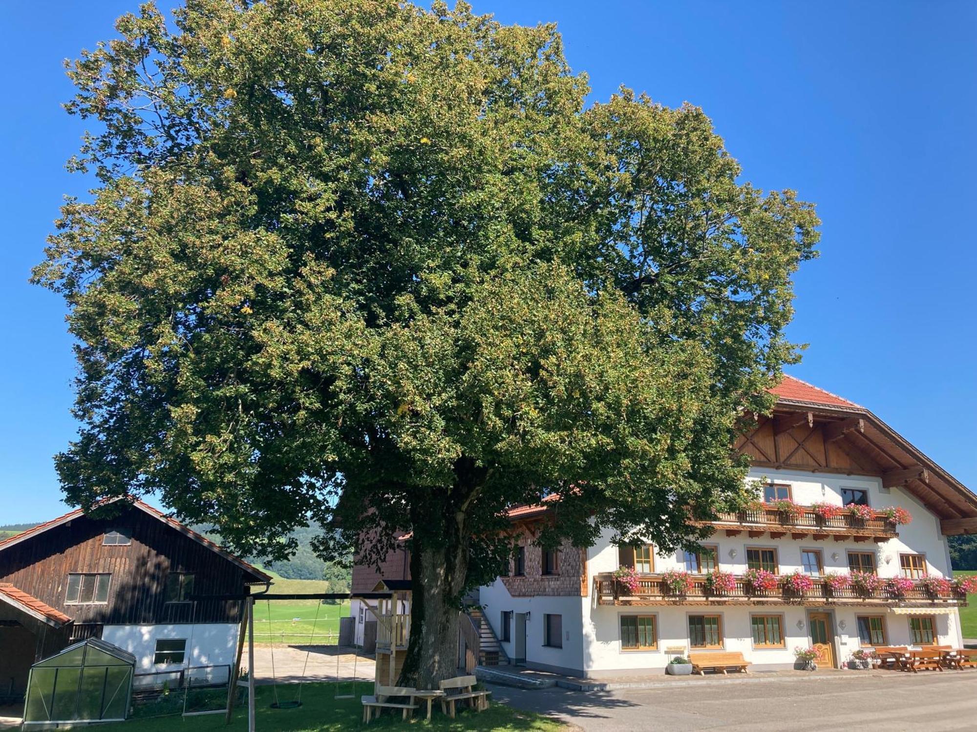 Apartment Biohof-feichtinger Zell am Moos
