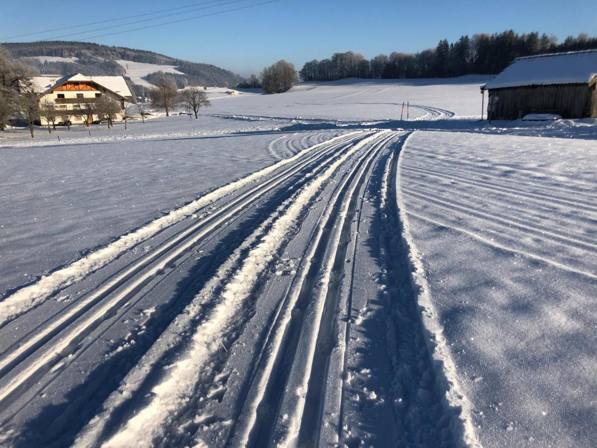 Biohof-feichtinger Apartmán Zell am Moos