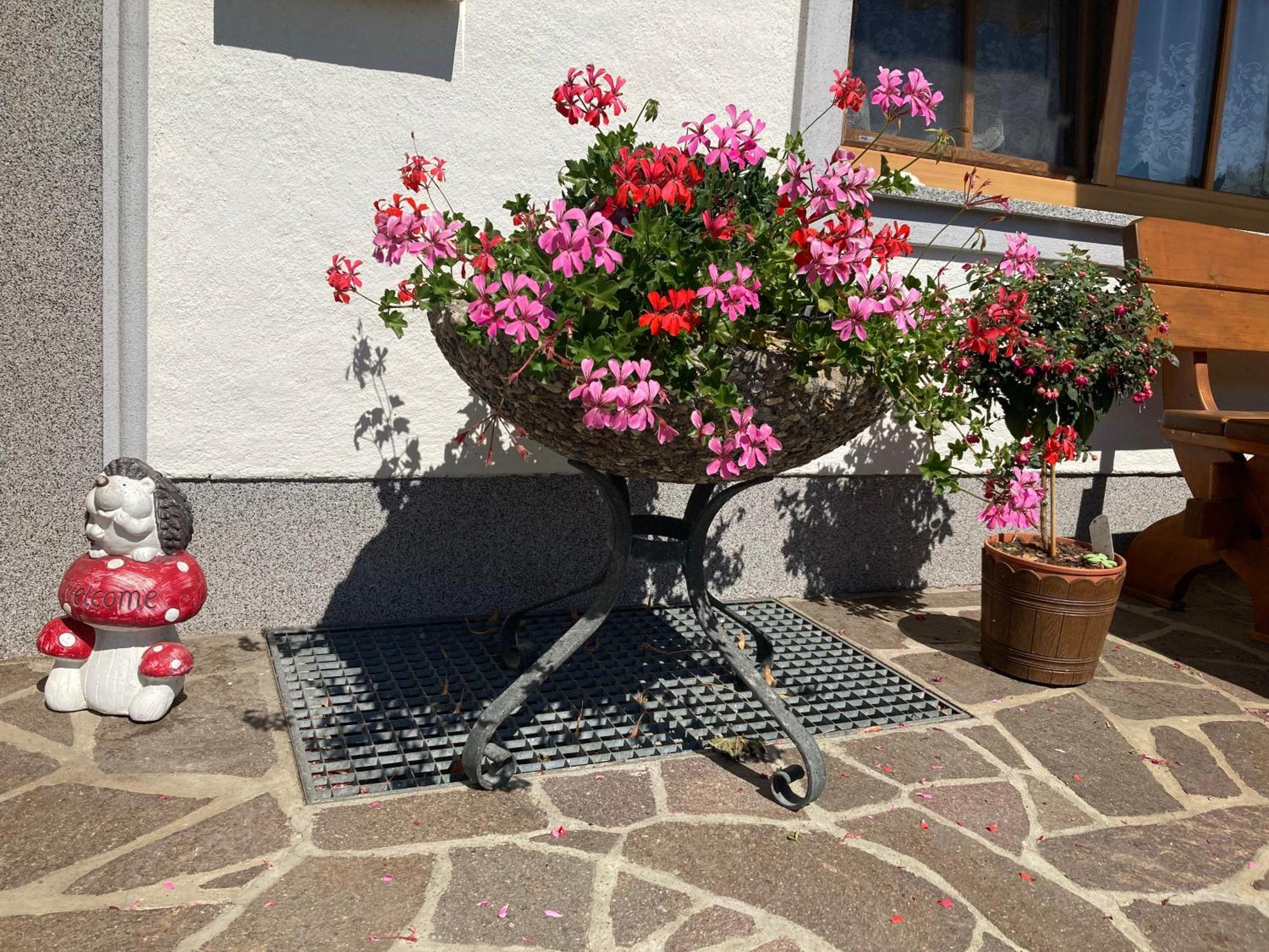 Biohof-feichtinger Zell am Moos